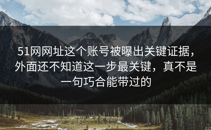 51网网址这个账号被曝出关键证据，外面还不知道这一步最关键，真不是一句巧合能带过的
