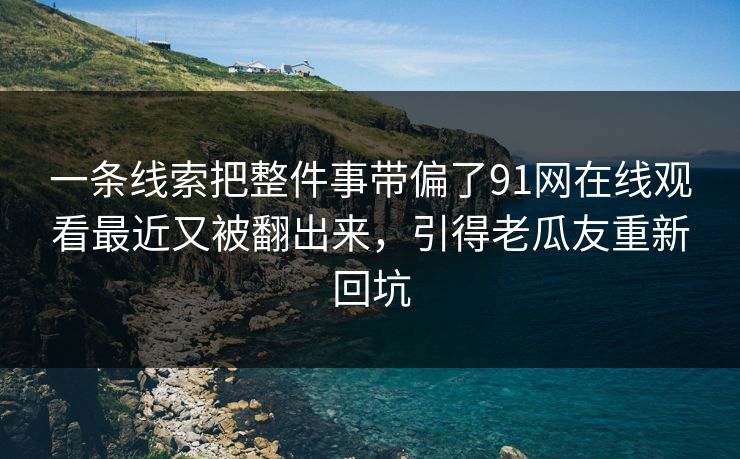 一条线索把整件事带偏了91网在线观看最近又被翻出来，引得老瓜友重新回坑