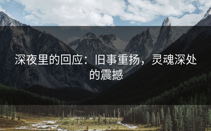 深夜里的回应：旧事重扬，灵魂深处的震撼