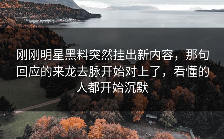 刚刚明星黑料突然挂出新内容，那句回应的来龙去脉开始对上了，看懂的人都开始沉默