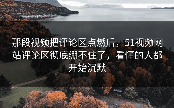 那段视频把评论区点燃后，51视频网站评论区彻底绷不住了，看懂的人都开始沉默