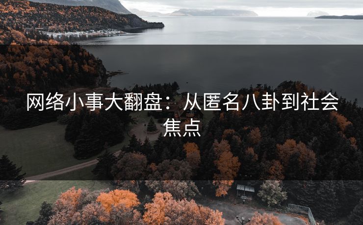 网络小事大翻盘：从匿名八卦到社会焦点