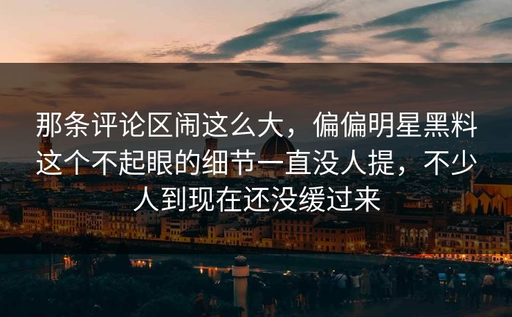 那条评论区闹这么大，偏偏明星黑料这个不起眼的细节一直没人提，不少人到现在还没缓过来