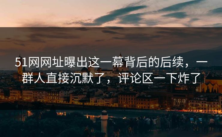 51网网址曝出这一幕背后的后续，一群人直接沉默了，评论区一下炸了